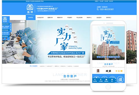 广州市蓝淇化妆品制造有限公司网站建设项目